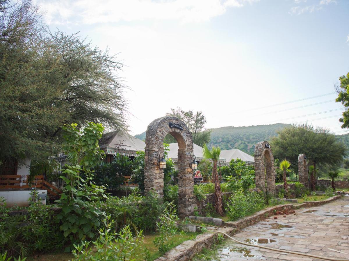 Wild Rose Resort And Spa 布什格尔 外观 照片